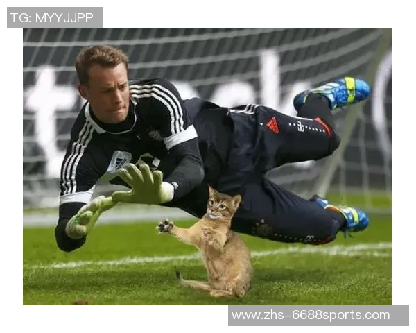 猫足球服的时尚潮流探索与宠物运动风尚的完美结合 猫足球服的时尚潮流探索与宠物运动风尚的完美结合